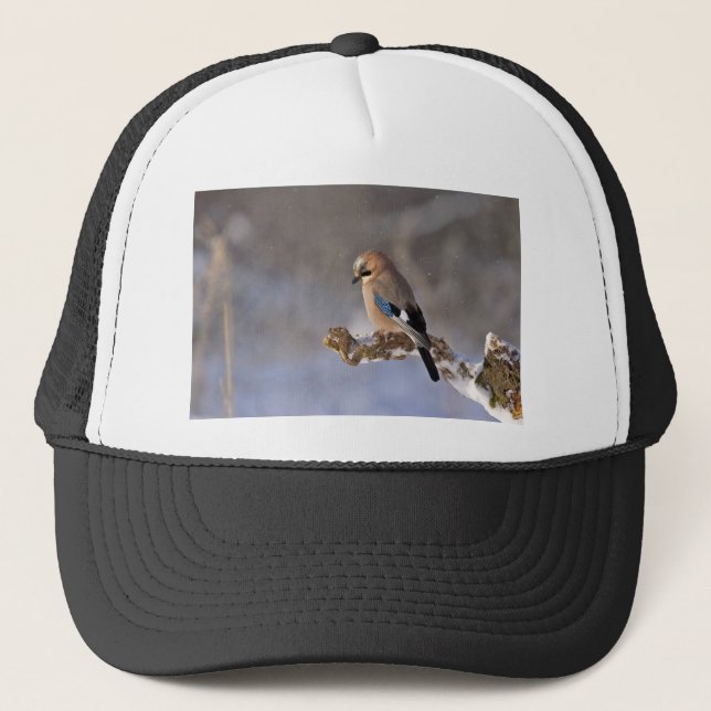 Gorra De Camionero Jay Bird en invierno (Anverso)
