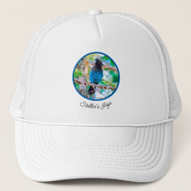 Gorra De Camionero Jay de Steller - Fotografía original (Anverso)