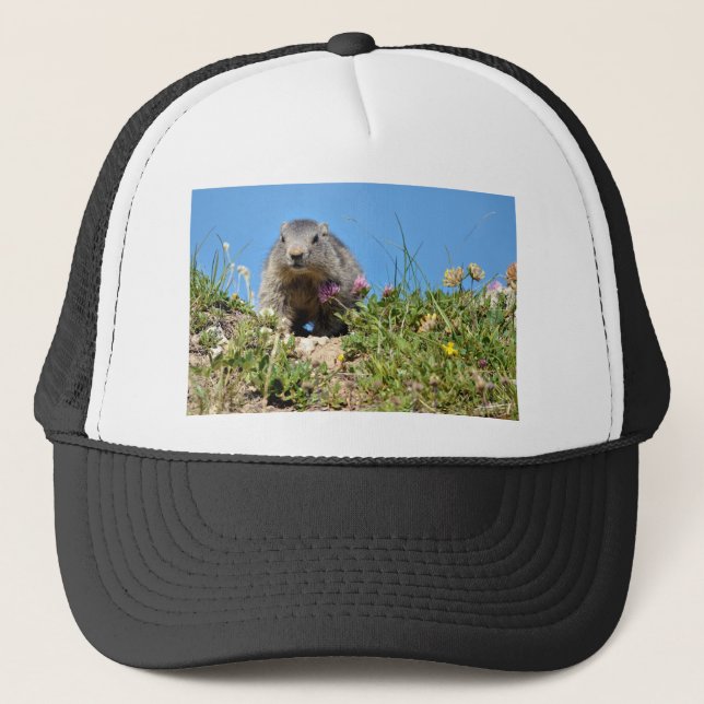 Gorra De Camionero Joven marmota alpina (Anverso)