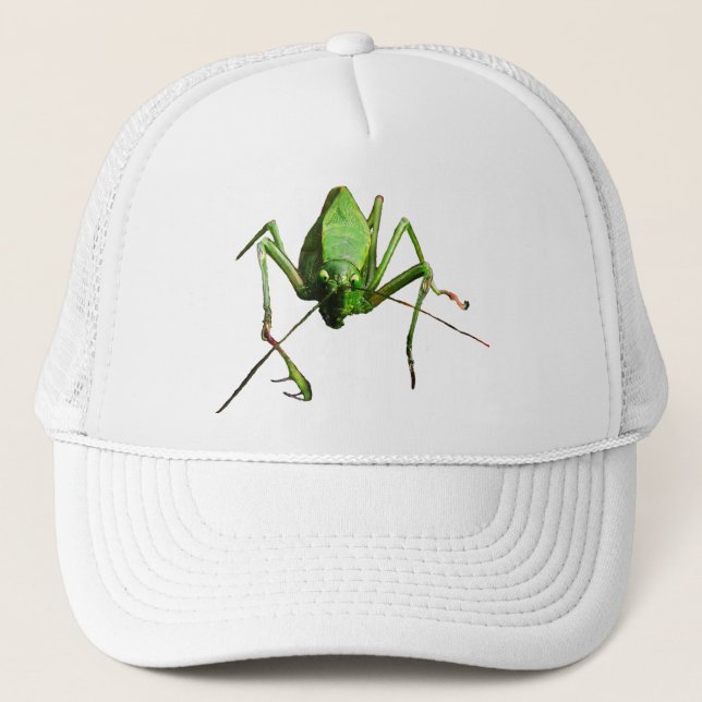Gorra De Camionero Katydid (Anverso)