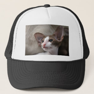 Gorra De Camionero Kitten siamés con orejas grandes
