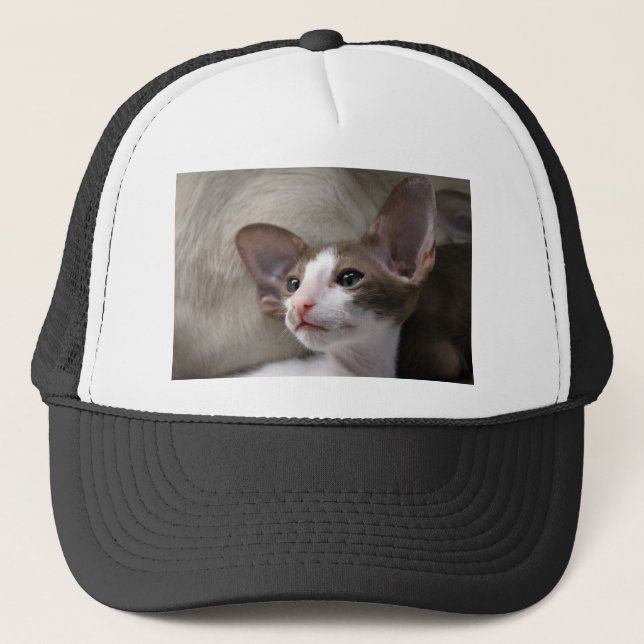 Gorra De Camionero Kitten siamés con orejas grandes (Anverso)