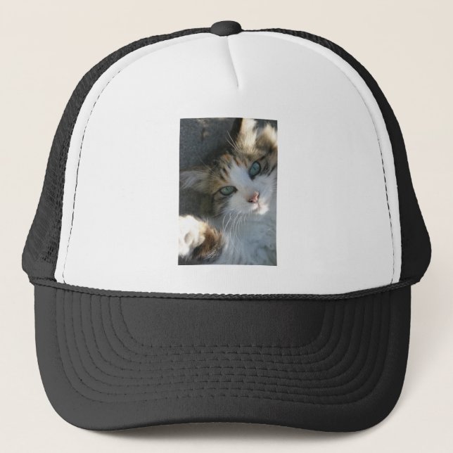 Gorra De Camionero Kitty juguetón (Anverso)