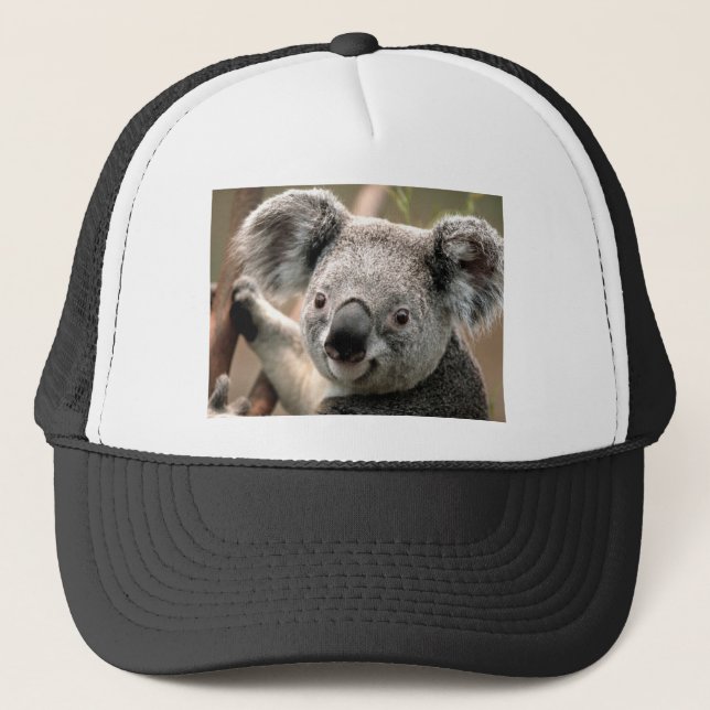 Gorra De Camionero Koala (Anverso)