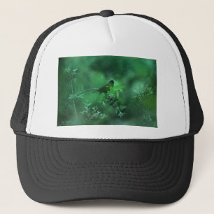 Gorra De Camionero La canción