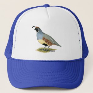 Gorra De Camionero La codorniz del desierto de Gambel