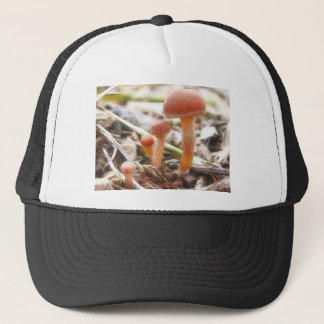 Gorra De Camionero La familia de la seta