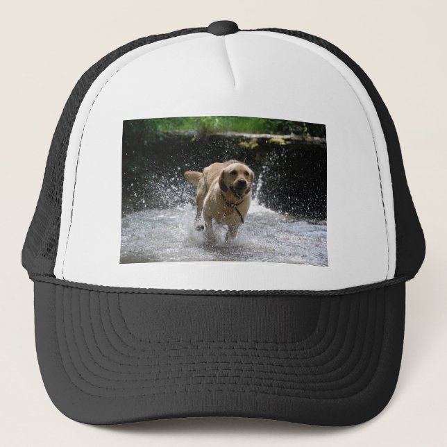 Gorra De Camionero Labrador (Anverso)