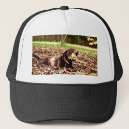 Gorra De Camionero Labrador de chocolate jugando con bolas