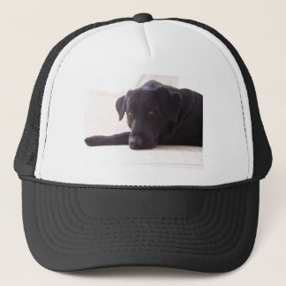Gorra De Camionero labrador retriever
