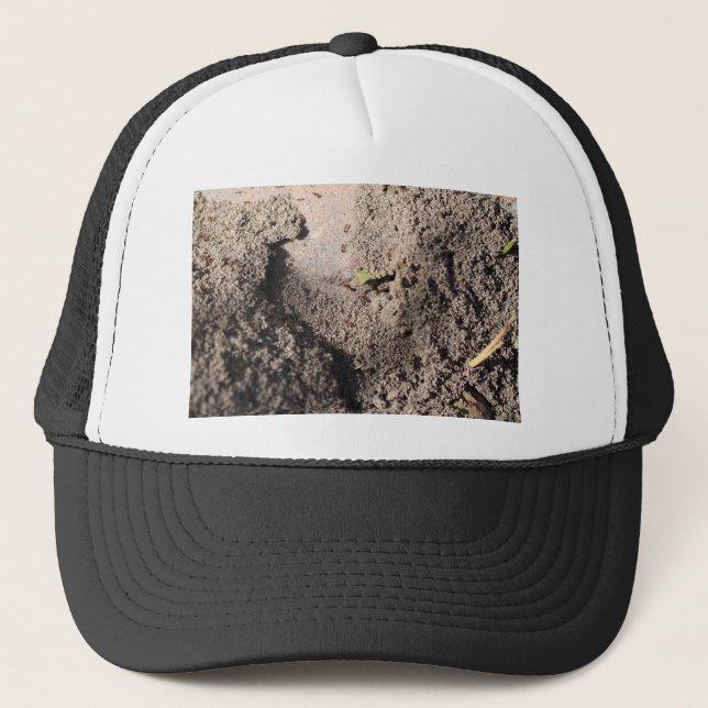 Gorra De Camionero Las hormigas marchan (Anverso)