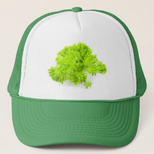 Gorra De Camionero Leche verde