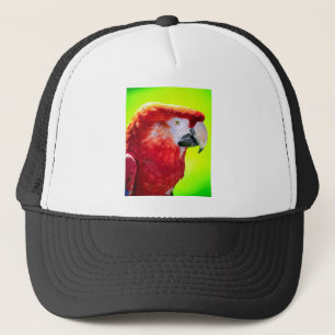 Gorra De Camionero Lechuga carbosa