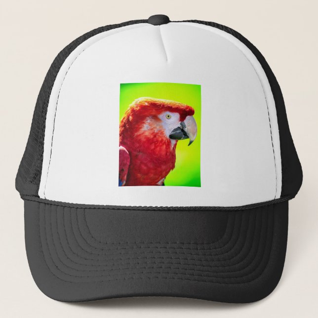Gorra De Camionero Lechuga carbosa (Anverso)