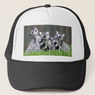 Gorra De Camionero Lemur Gifts and Tees