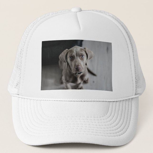 Gorra De Camionero leñador (Anverso)