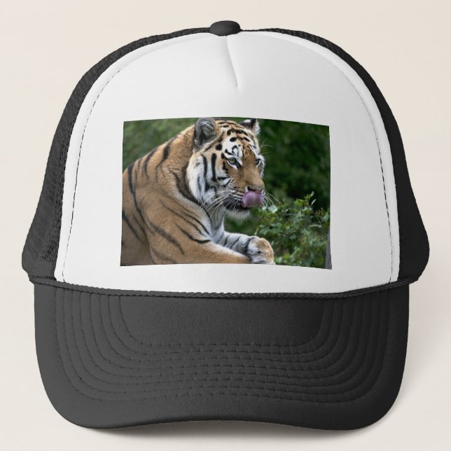 Gorra De Camionero Lengua tigre (Anverso)