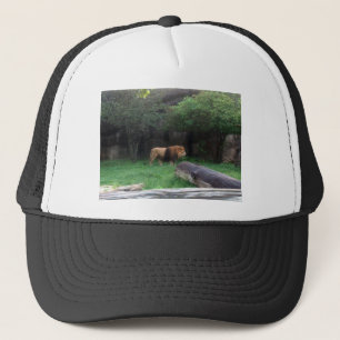 Gorra De Camionero León