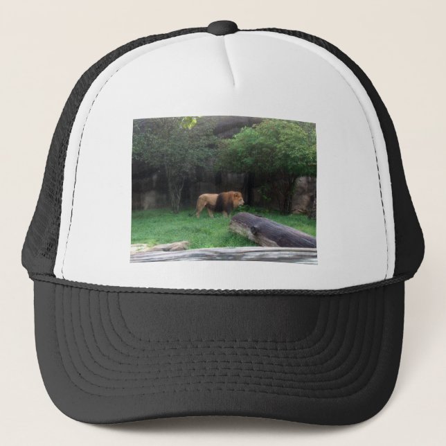 Gorra De Camionero León (Anverso)