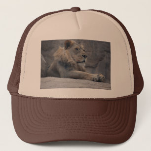 Gorra De Camionero León africano