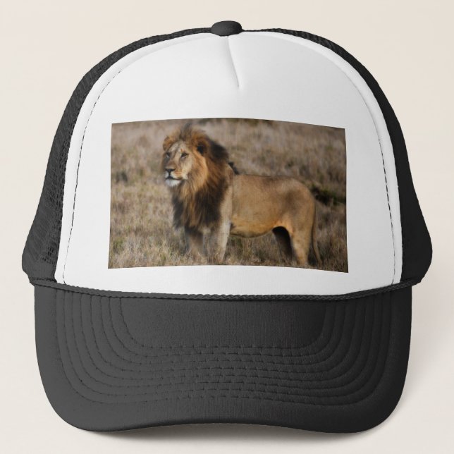 Gorra De Camionero León africano en hierba (Anverso)