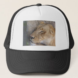 Gorra De Camionero Leona durmiendo