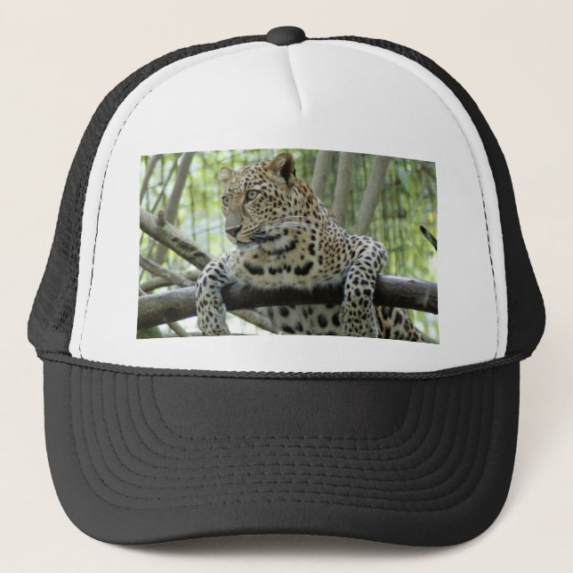 Gorra De Camionero LeopardSundari_006 (Anverso)