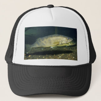 Gorra De Camionero leucomas
