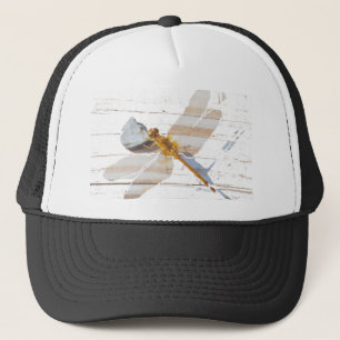 Gorra De Camionero Libélula en roca