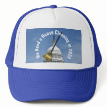 Limpieza de casas elecciones 2024