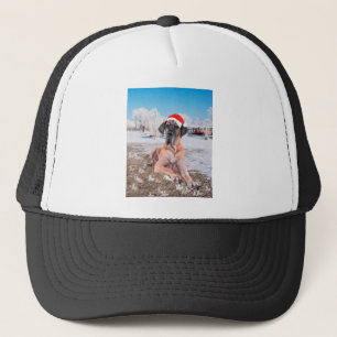 Gorra De Camionero Lindo perro Gran Danés sentado en la nieve con som