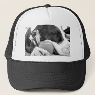 Gorra De Camionero lindo perro pitbull de aspecto triste blanco negro