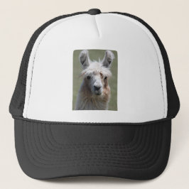 Gorra De Camionero Llama