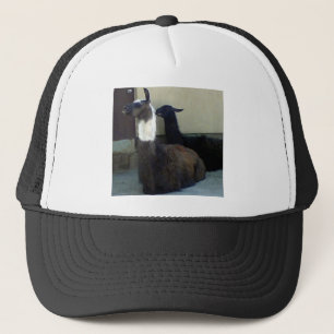 Gorra De Camionero Llamas como imagen del zoo