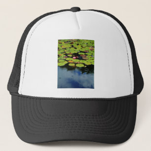 Gorra De Camionero Lloto rosa en lluvia