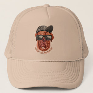Gorra De Camionero LO SIENTO, soy un perro gracioso de INDOGNITO (esc