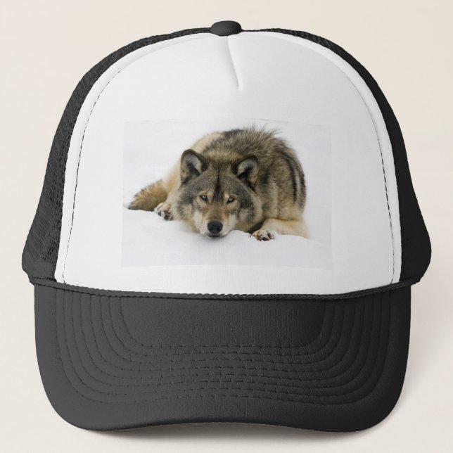 Gorra De Camionero Lobo (Anverso)
