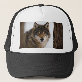 Gorra De Camionero Lobo gris europeo