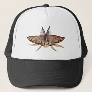 Gorra De Camionero Loma gitana, Lymantria dispar zoológico