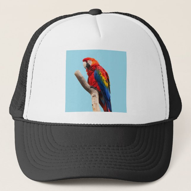 Gorra De Camionero Loro (Anverso)
