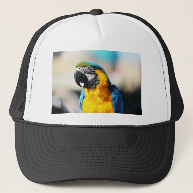Gorra De Camionero loro (Anverso)