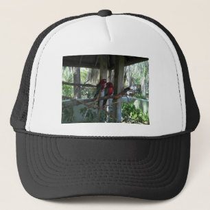 Gorra De Camionero Loro