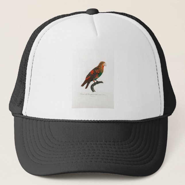 Gorra De Camionero loro maculado (Anverso)