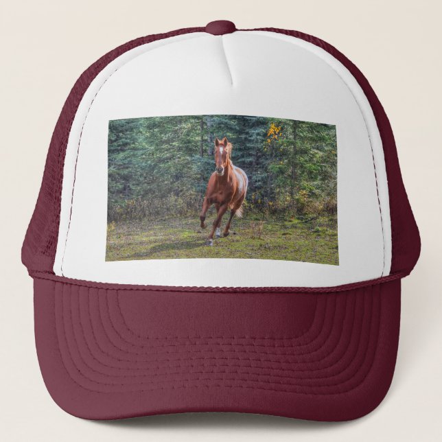 Gorra De Camionero Los amantes del caballo Equine Ranch Horse Photo (Anverso)