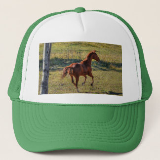 Gorra De Camionero Los amantes del caballo Equine Ranch Horse Photo