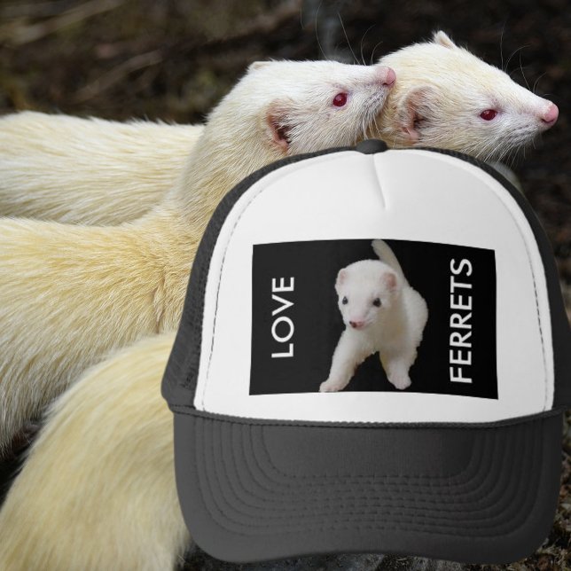 Gorra De Camionero Love Ferrets White Ferret (I love ferrets white ferret hat)