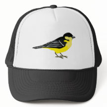 Lovely Lesser Goldfinch