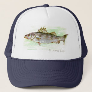 Gorra De Camionero Lubina rayada