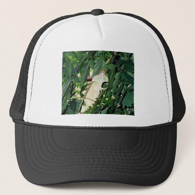 Gorra De Camionero Luna Moth (Anverso)