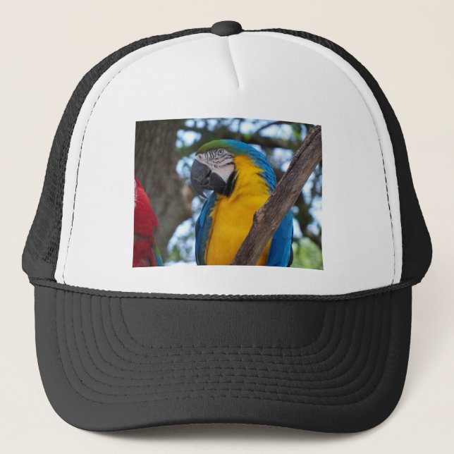 Gorra De Camionero Macao tropical amarillo verde y azul (Anverso)